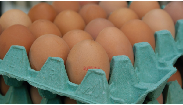 codificación y marcaje de huevos